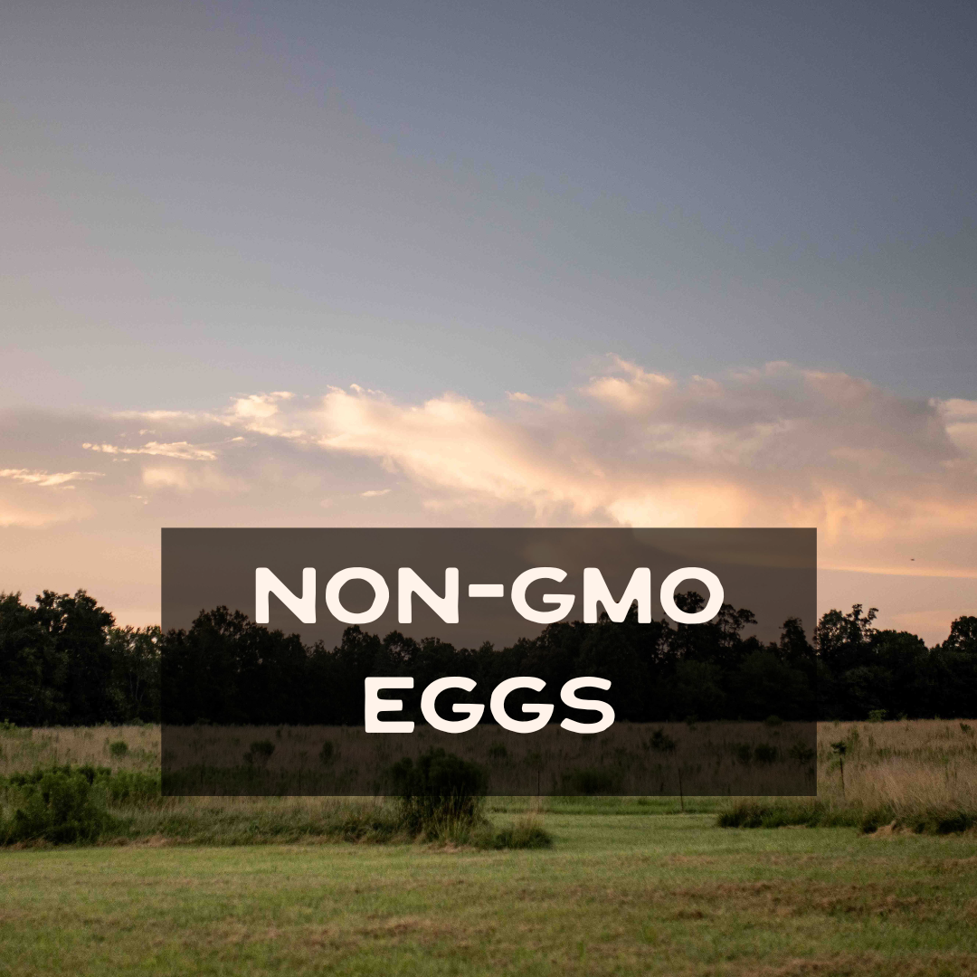Non-GMO Eggs - Dozen (Weekly add on to CSA box)